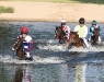 Galopp Derby Hamburg Seejagdrennen